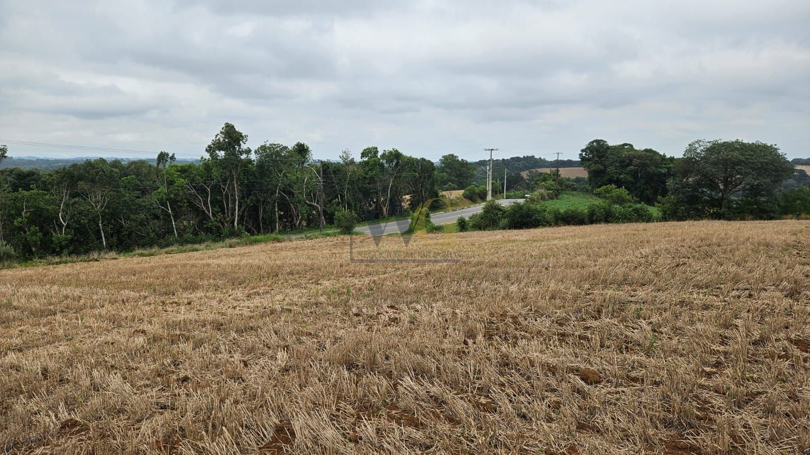 Terreno à venda, 84700 m² por R$ 3.500.000,00 - Guajuvira - Ar...