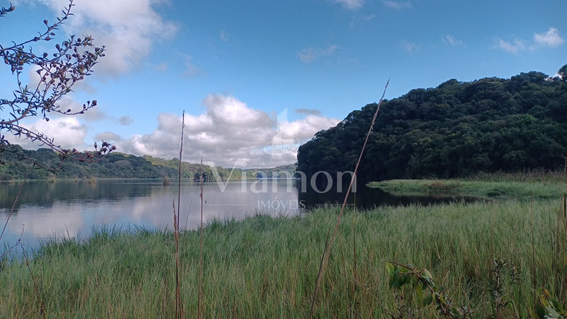Chácara em Araucária com nascente, represa e natureza exuberan...
