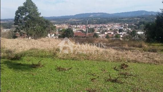Ampla e excelente área à venda em Campo Largo para lazer ou co...