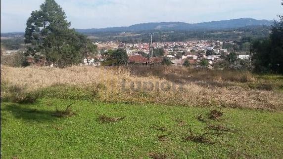 Terreno à Venda com Mina dÁgua e Potencial de Construção, Opo...