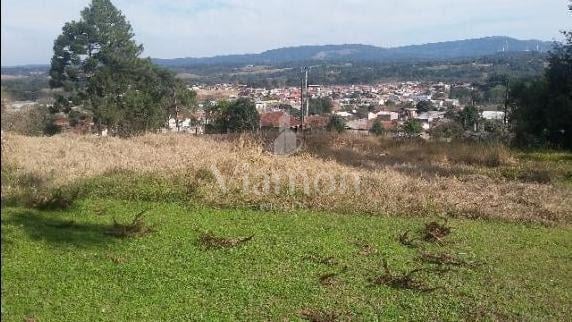 Ampla e excelente área à venda em Campo Largo para lazer ou co...