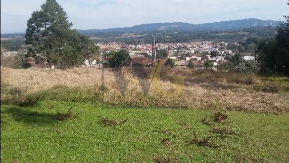 Terreno à Venda com Mina dÁgua e Potencial de Construção, Opo...