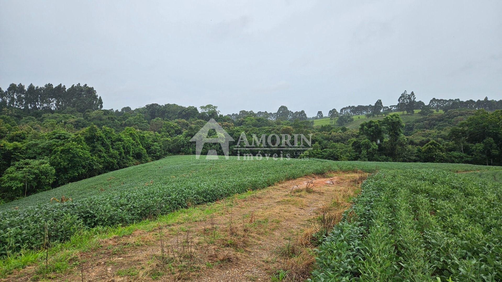Chácara à venda, 79000 m  por R  1.230.000  - Preço abaixo do ...