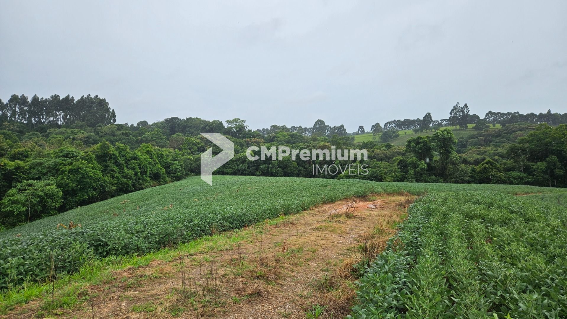 Chácara à venda, 79000 m  por R  1.230.000  - Preço abaixo do ...