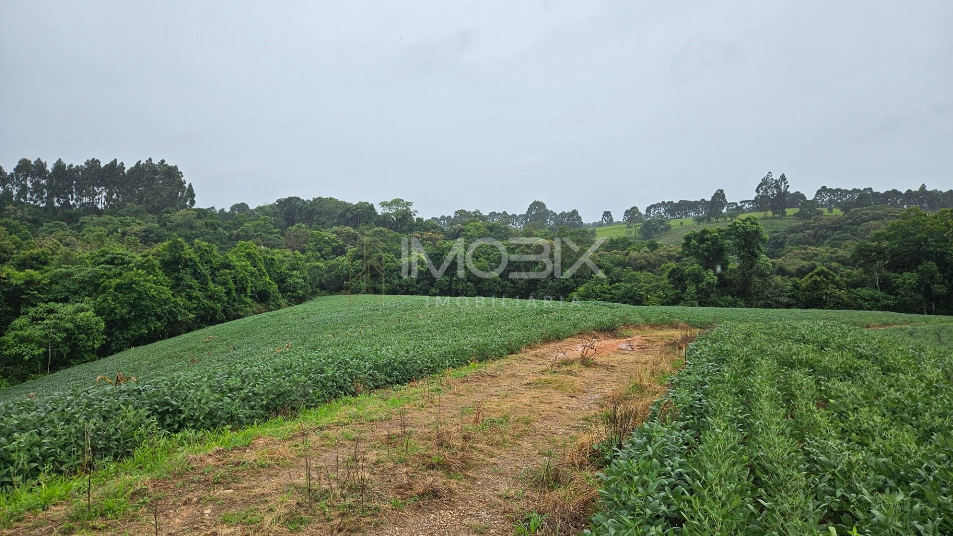 Chácara à venda, 79000 m  por R  1.230.000  - Preço abaixo do ...