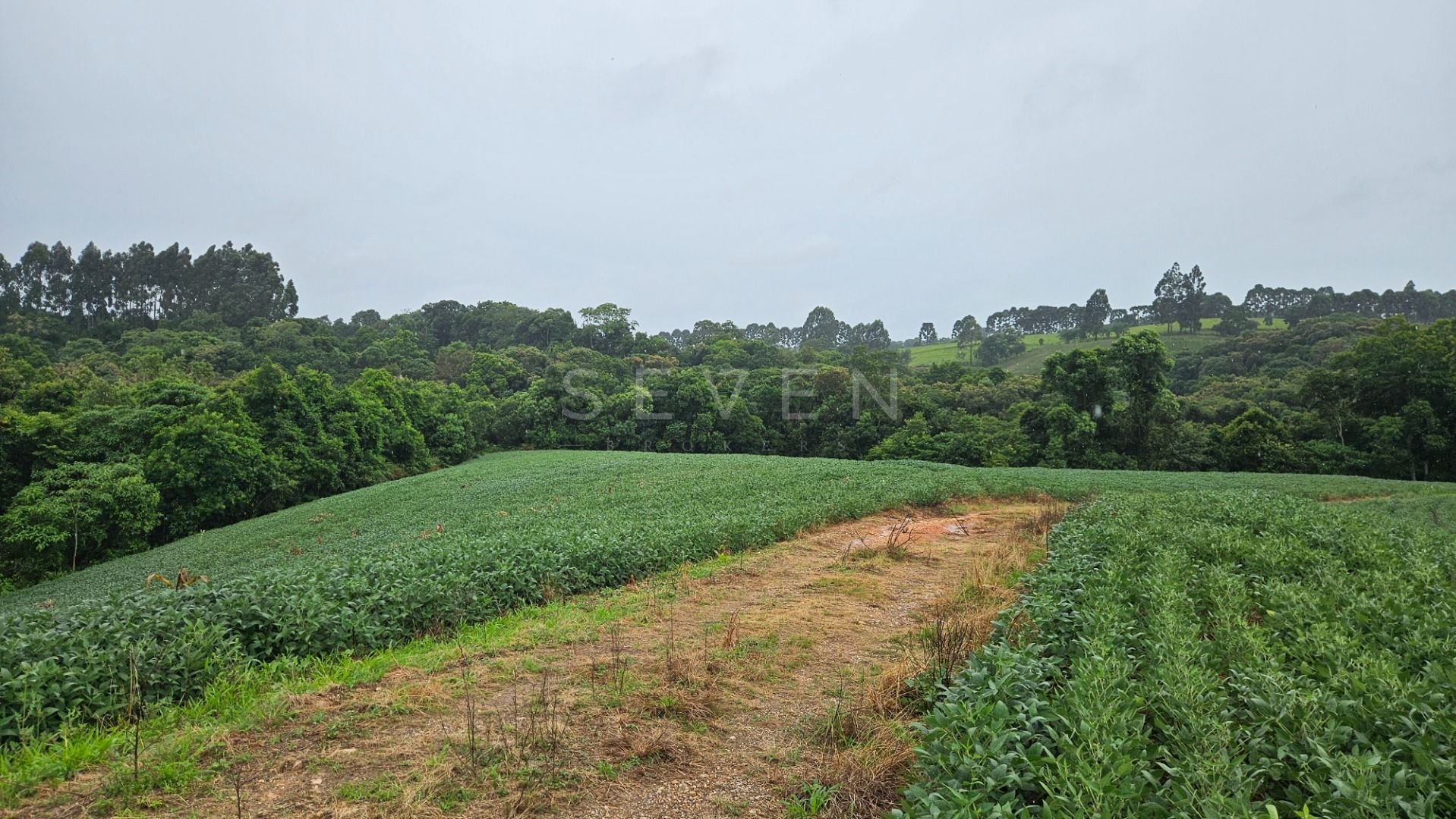 Área de 79.000 m  com 41.000 m  mecanizados  perfeita para cul...