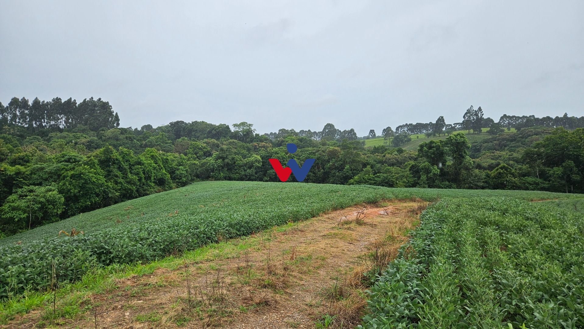 Chácara à venda, 79000 m  por R  1.230.000  - Preço abaixo do ...