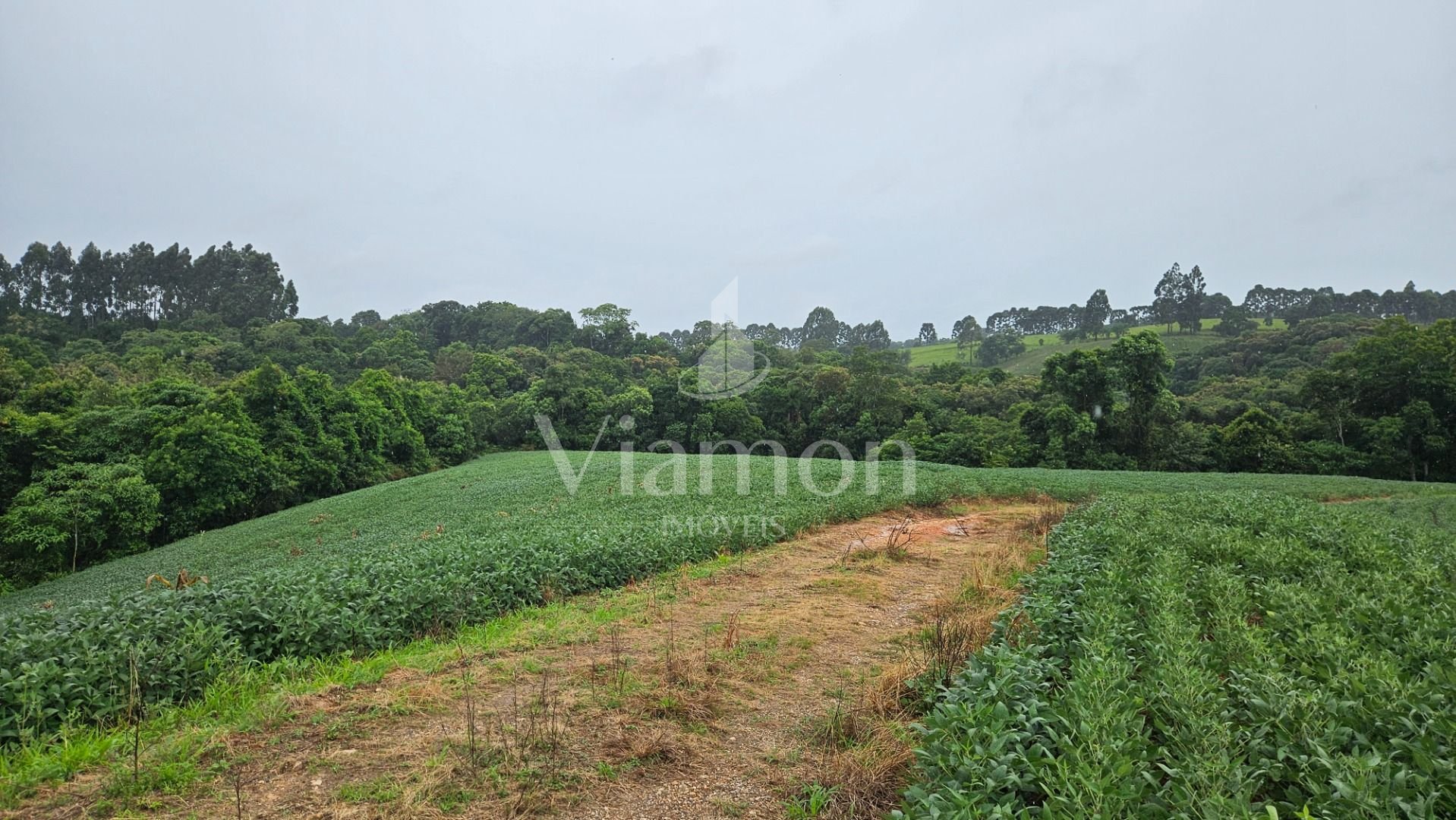 Chácara à venda, 79000 m  por R  1.230.000  - Preço abaixo do ...