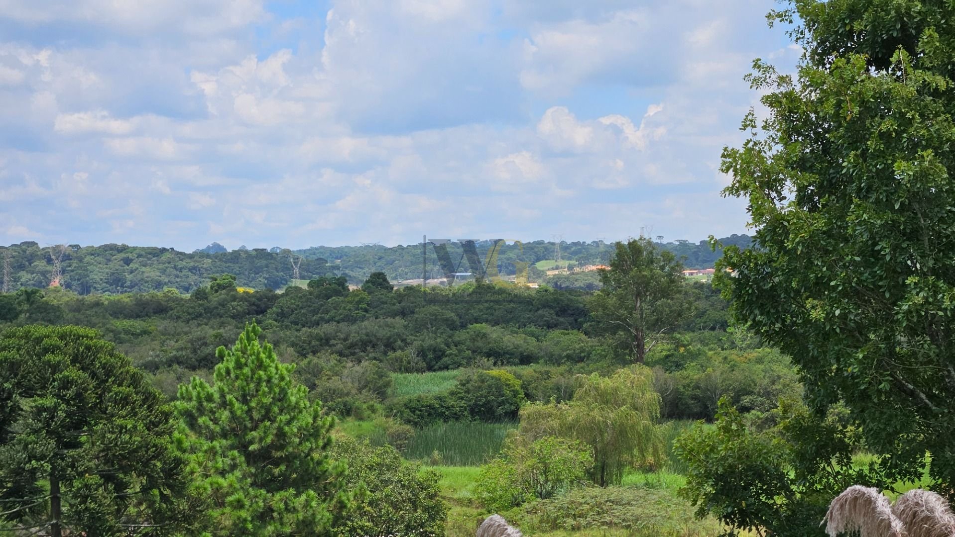 Área Exclusiva de 36.000 m  Próxima ao Centro de Araucária  Na...