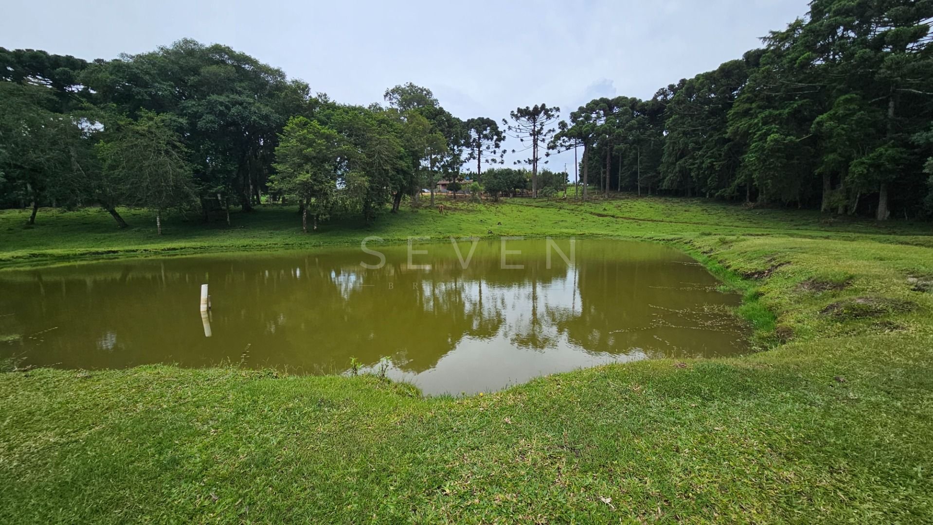 Propriedade rural com 254.100m , casas, tanques de peixe, poma...