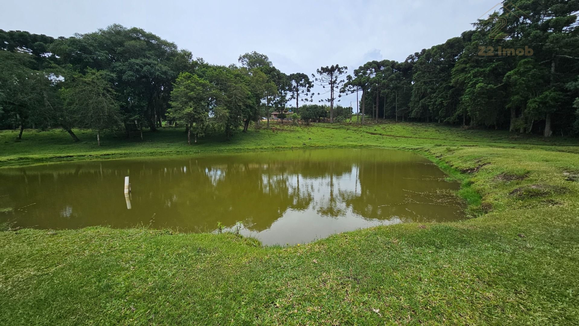 Sítio com 6 dormitórios à venda, 254100 m  por R  3.020.000,00...