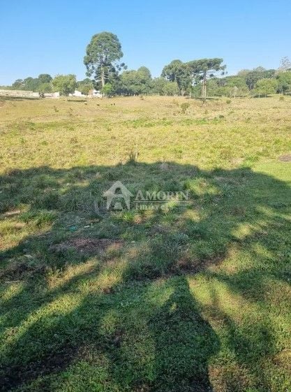 Área à venda, 49000 m  por R  7.900.000,00 - Centro - Piraquar...