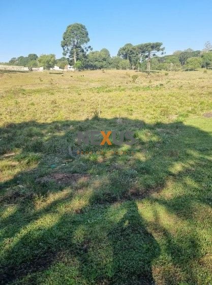 Área à venda, 49000 m  por R  7.900.000,00 - Centro - Piraquar...