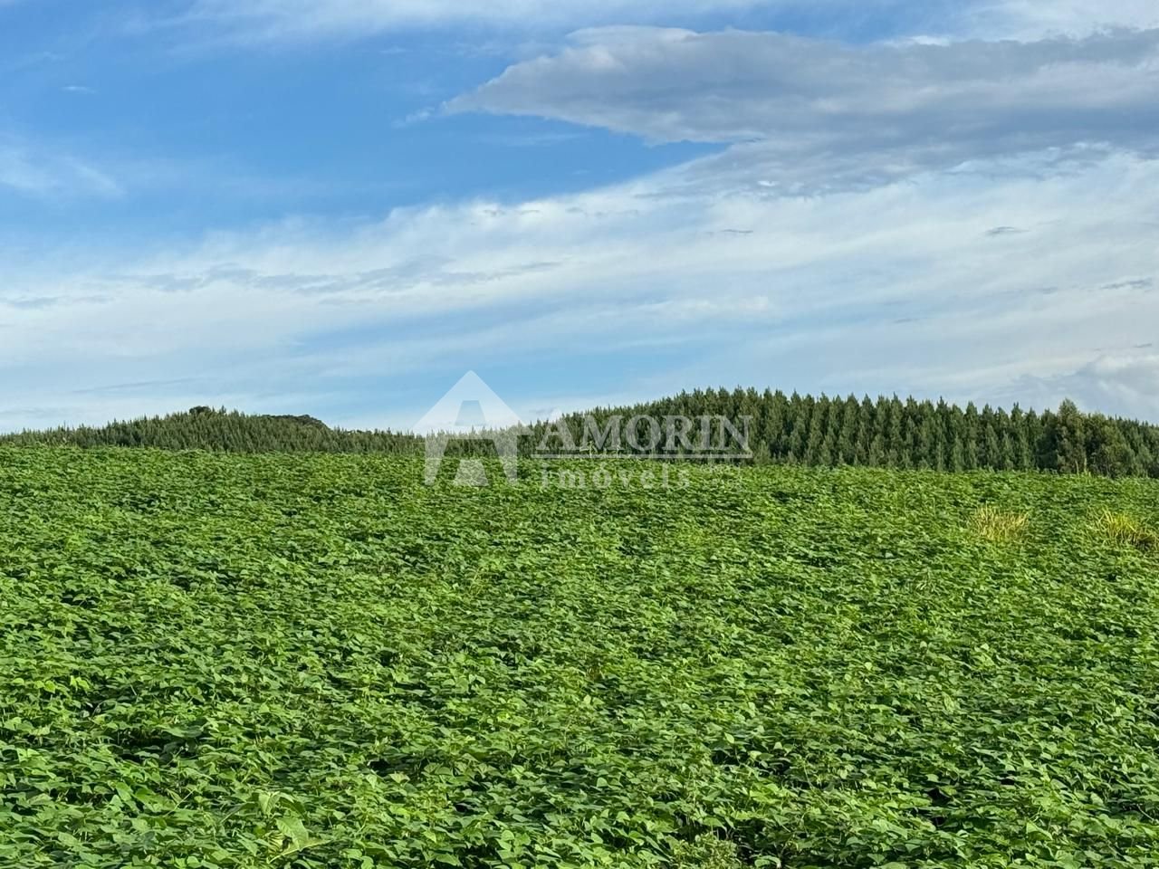 Chácara com 2 dormitórios à venda, 168 m  por R  1.200.000,00 ...