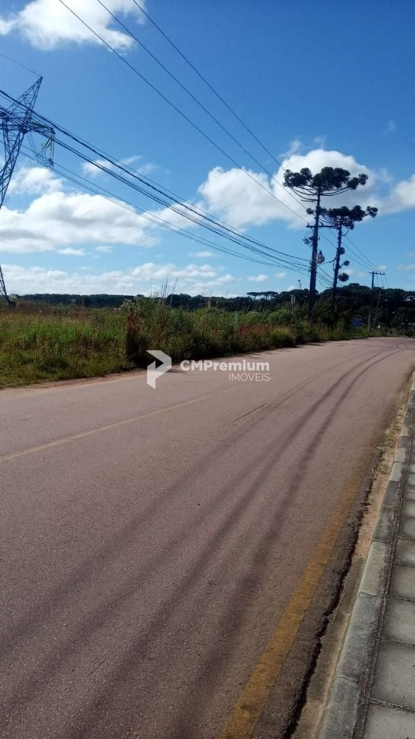 Terreno à venda, 34000 m  por R  3.000.000,00 - Campo Largo da...