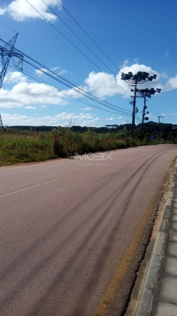 Terreno à venda, 34000 m  por R  3.000.000,00 - Campo Largo da...
