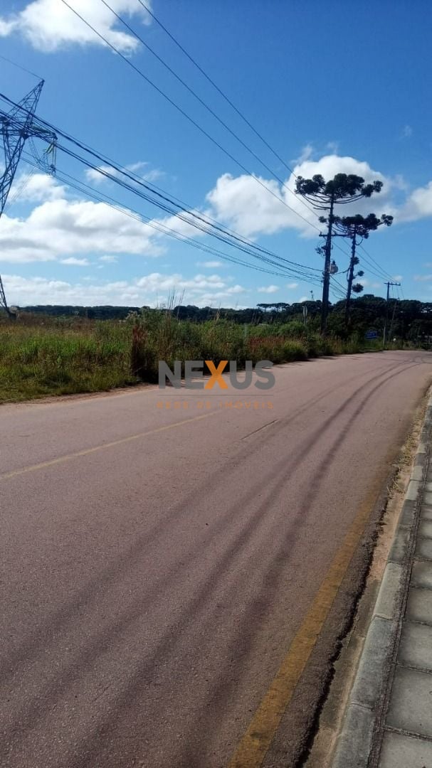Terreno à venda, 34000 m  por R  3.000.000,00 - Campo Largo da...