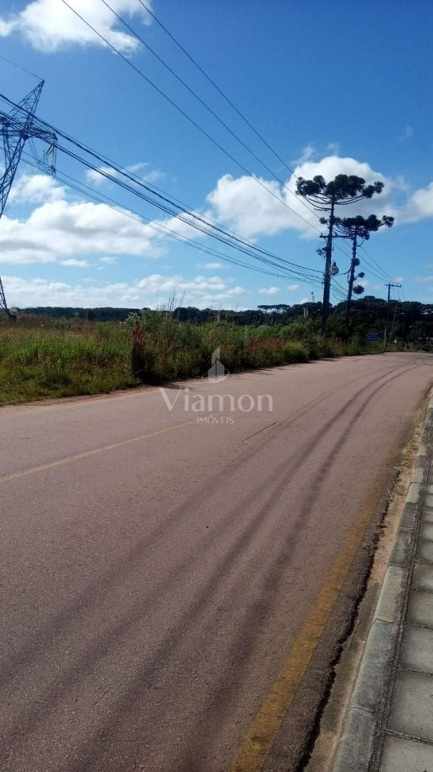 Terreno à venda, 34000 m  por R  3.000.000,00 - Campo Largo da...