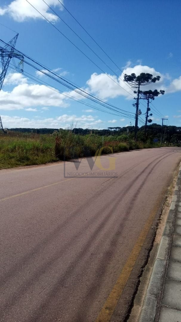Terreno à venda, 34000 m  por R  3.000.000,00 - Campo Largo da...