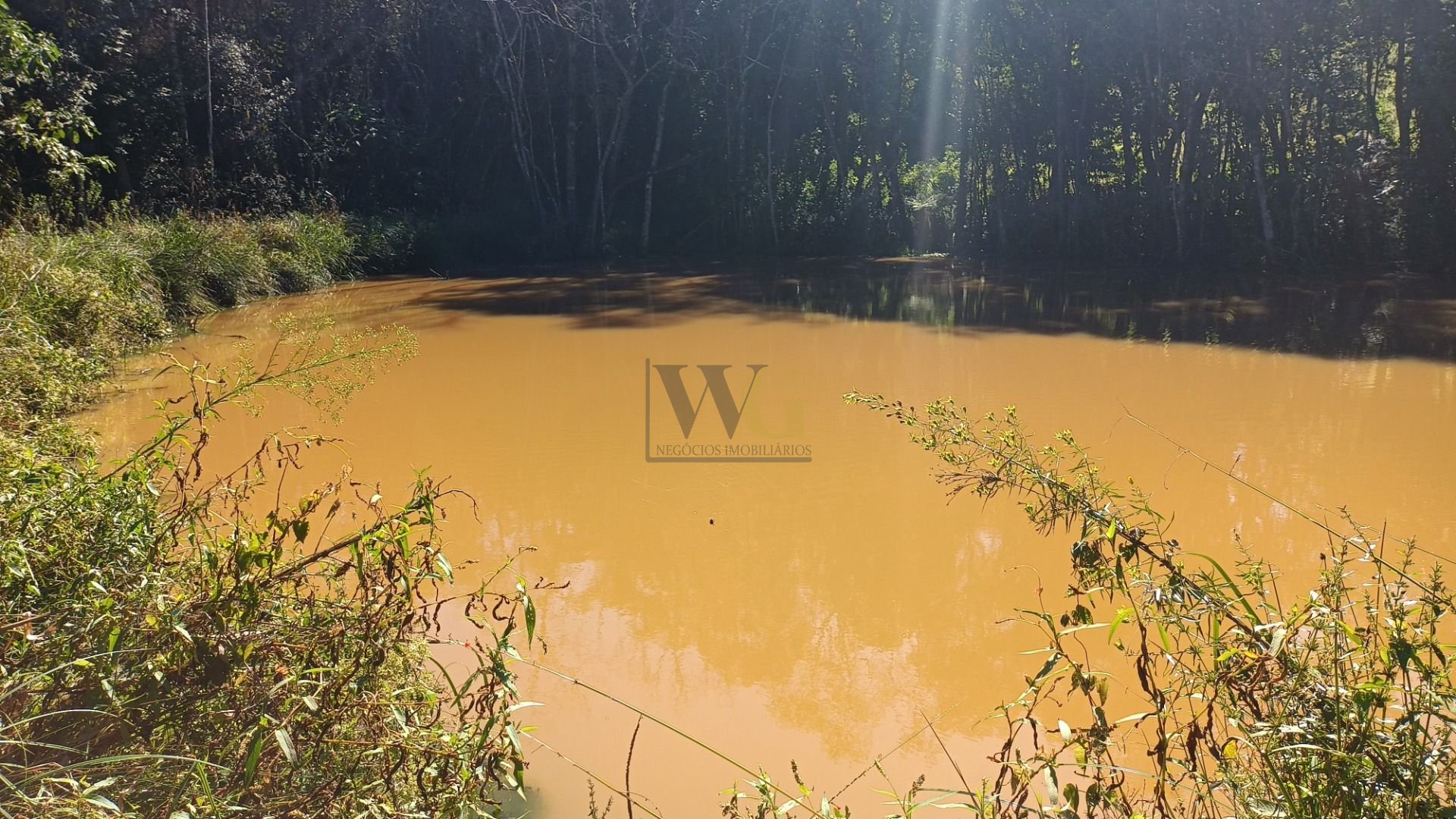 Chácara dos Sonhos em Araucária  24.300m  de Natureza e Tranqu...