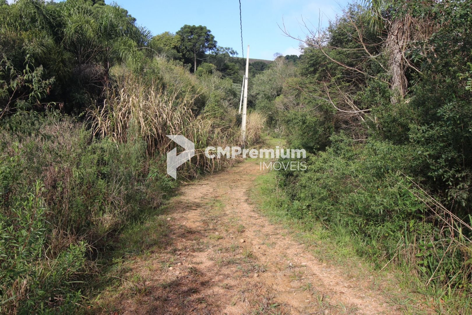 Chácara em Quitandinha Lapa