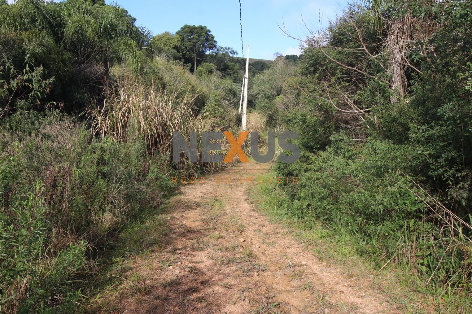 Chácara em Quitandinha Lapa