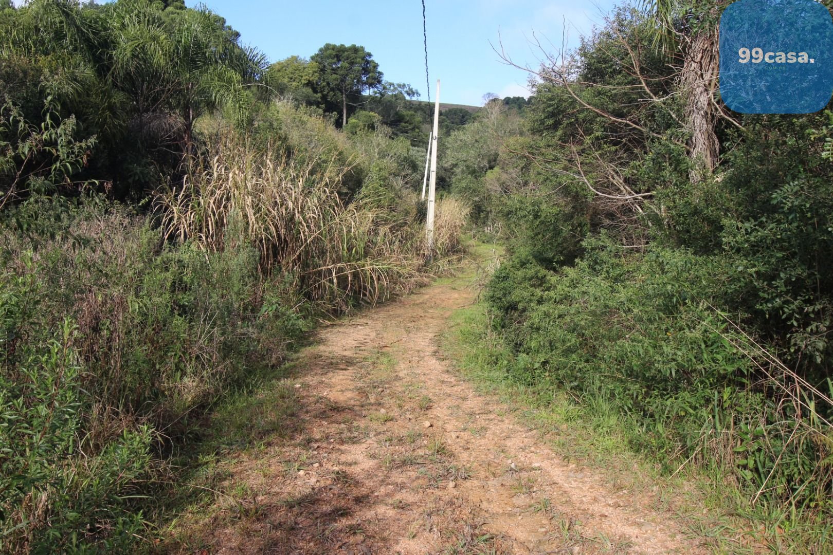 Chácara em Quitandinha Lapa