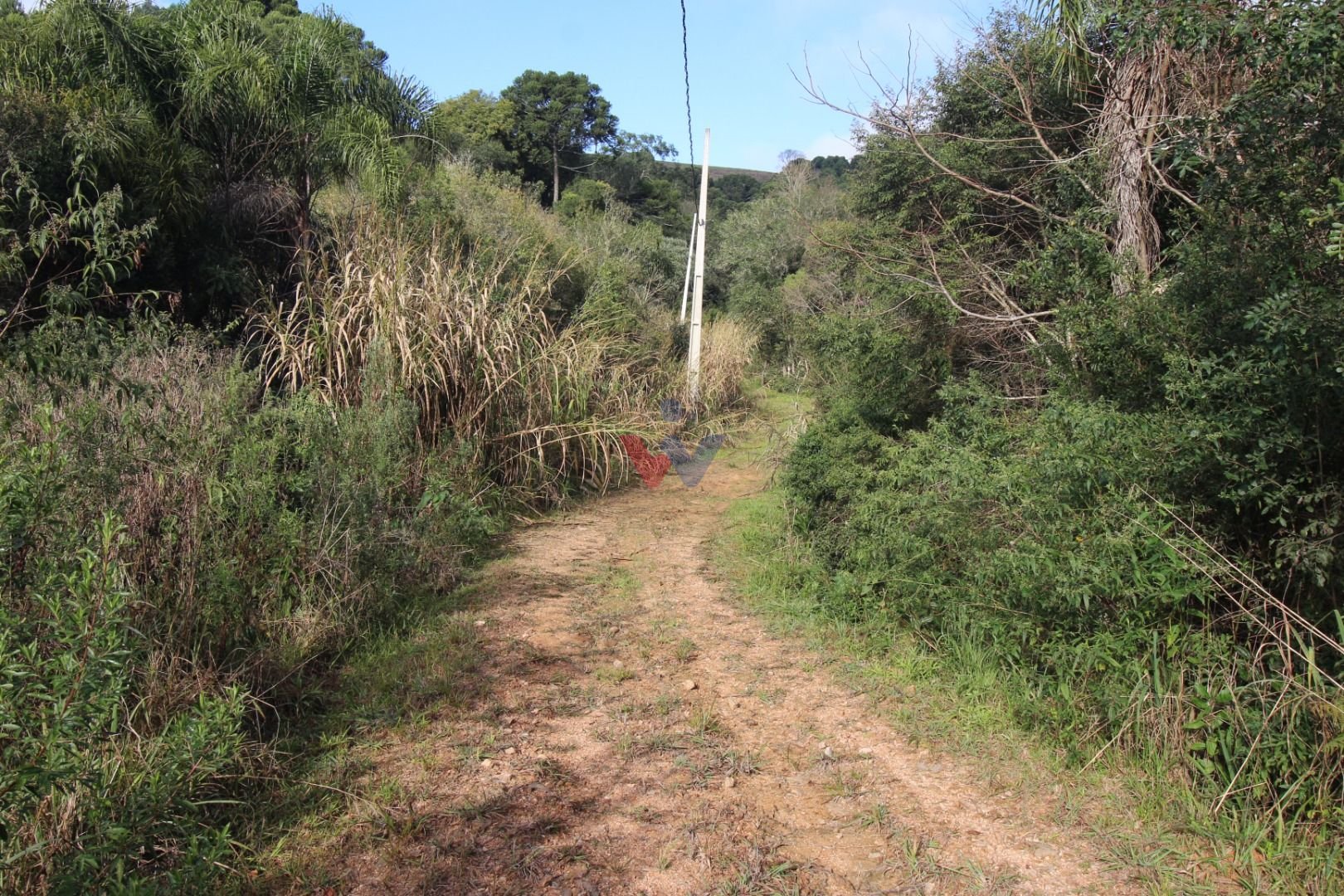 Chácara com Casa, Água Mineral e Amplo Pátio  Quitandinha Lapa