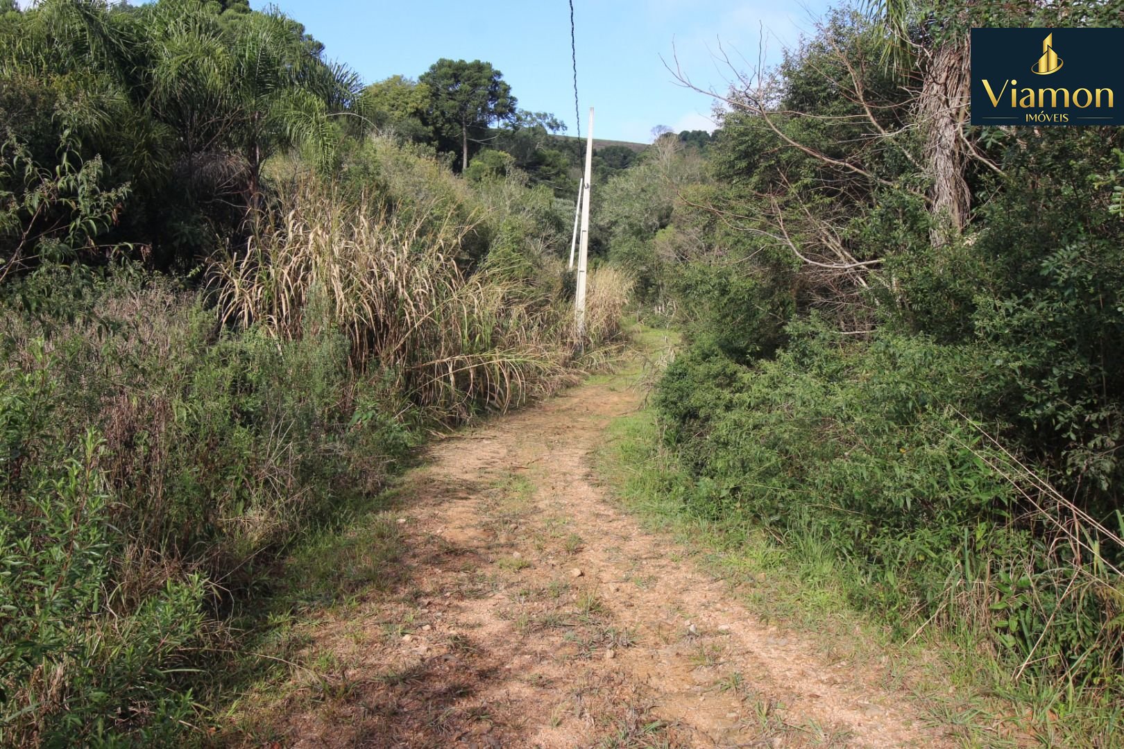 Chácara em Quitandinha Lapa