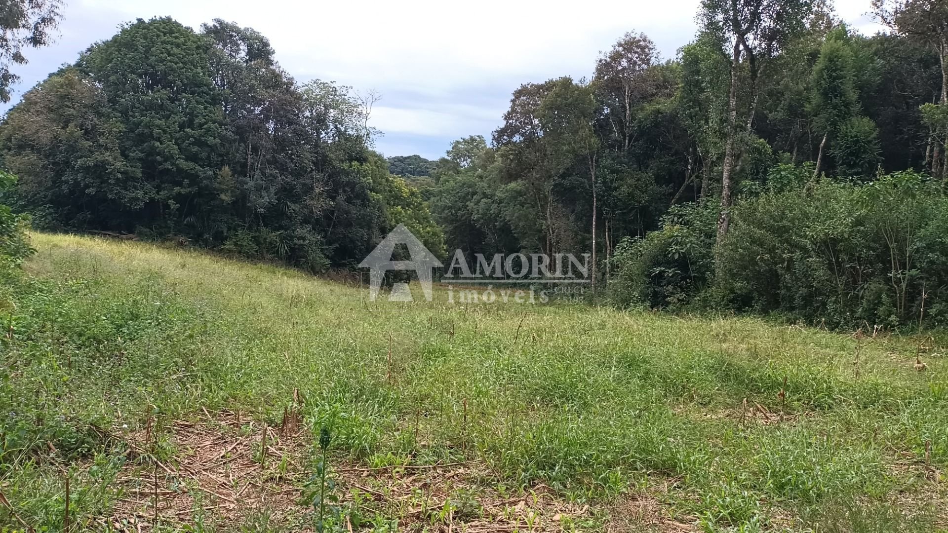 Chácara à venda, 24300 m  por R  630.000,00 - Zona Rural - Ara...