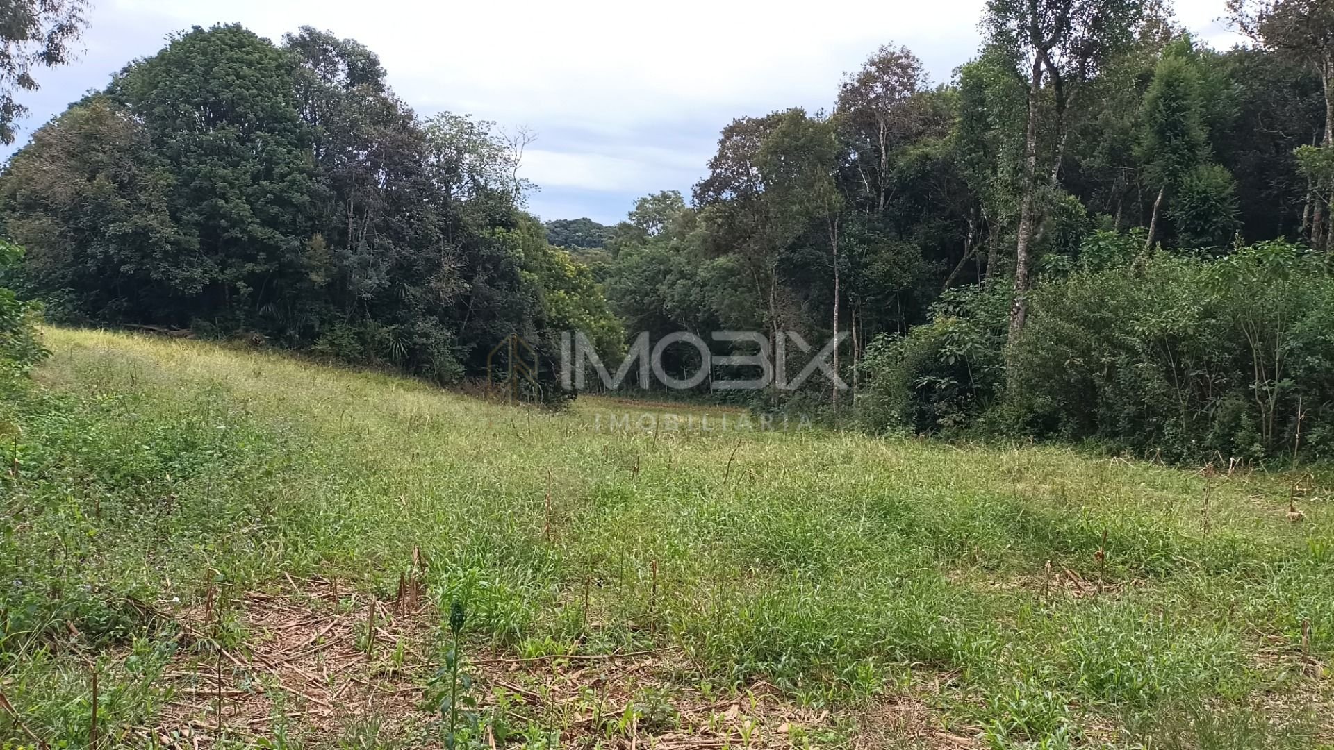 Chácara à venda, 24300 m  por R  630.000,00 - Zona Rural - Ara...
