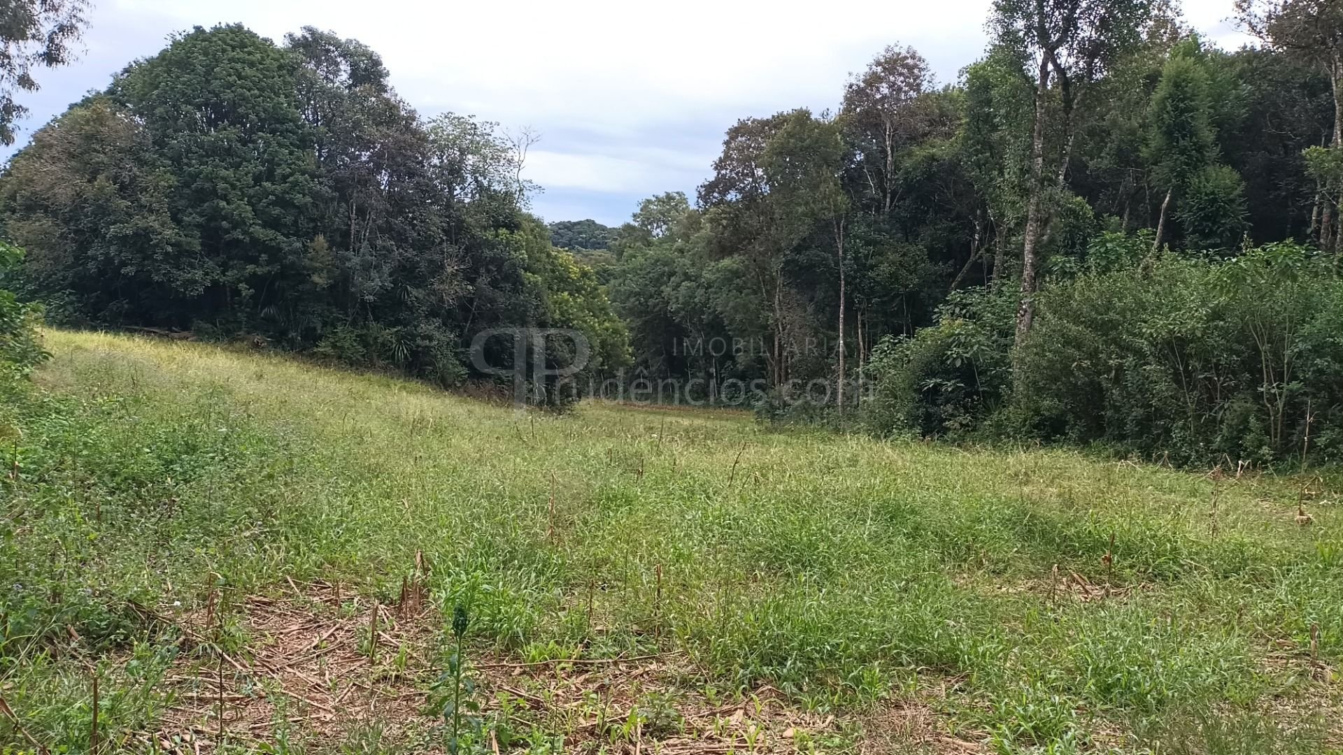 Chácara dos Sonhos em Araucária  24.300m  de Natureza e Tranqu...