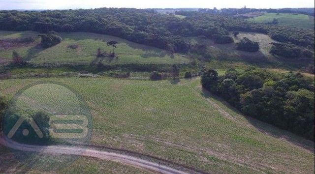 Sítio com 2 dormitórios à venda, 677600 m  por R  4.200.000,00...