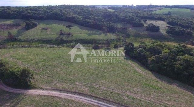 Sítio com 2 dormitórios à venda, 677600 m  por R  4.200.000,00...