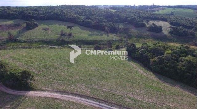 Sítio com 2 dormitórios à venda, 677600 m  por R  4.200.000,00...