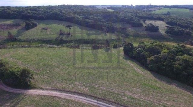 Sítio com 2 dormitórios à venda, 677600 m  por R  4.200.000,00...