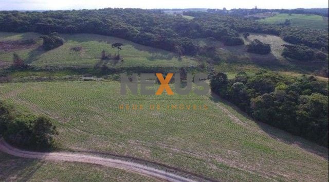 Sítio com 2 dormitórios à venda, 677600 m  por R  4.200.000,00...