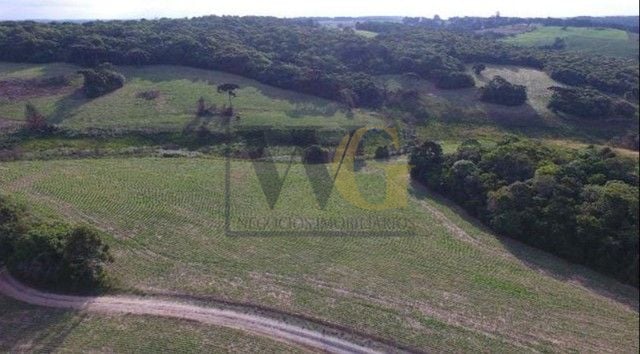 Chácara Fazenda na Lapa-PR  Paraíso Rural de 28 Alqueires à Venda