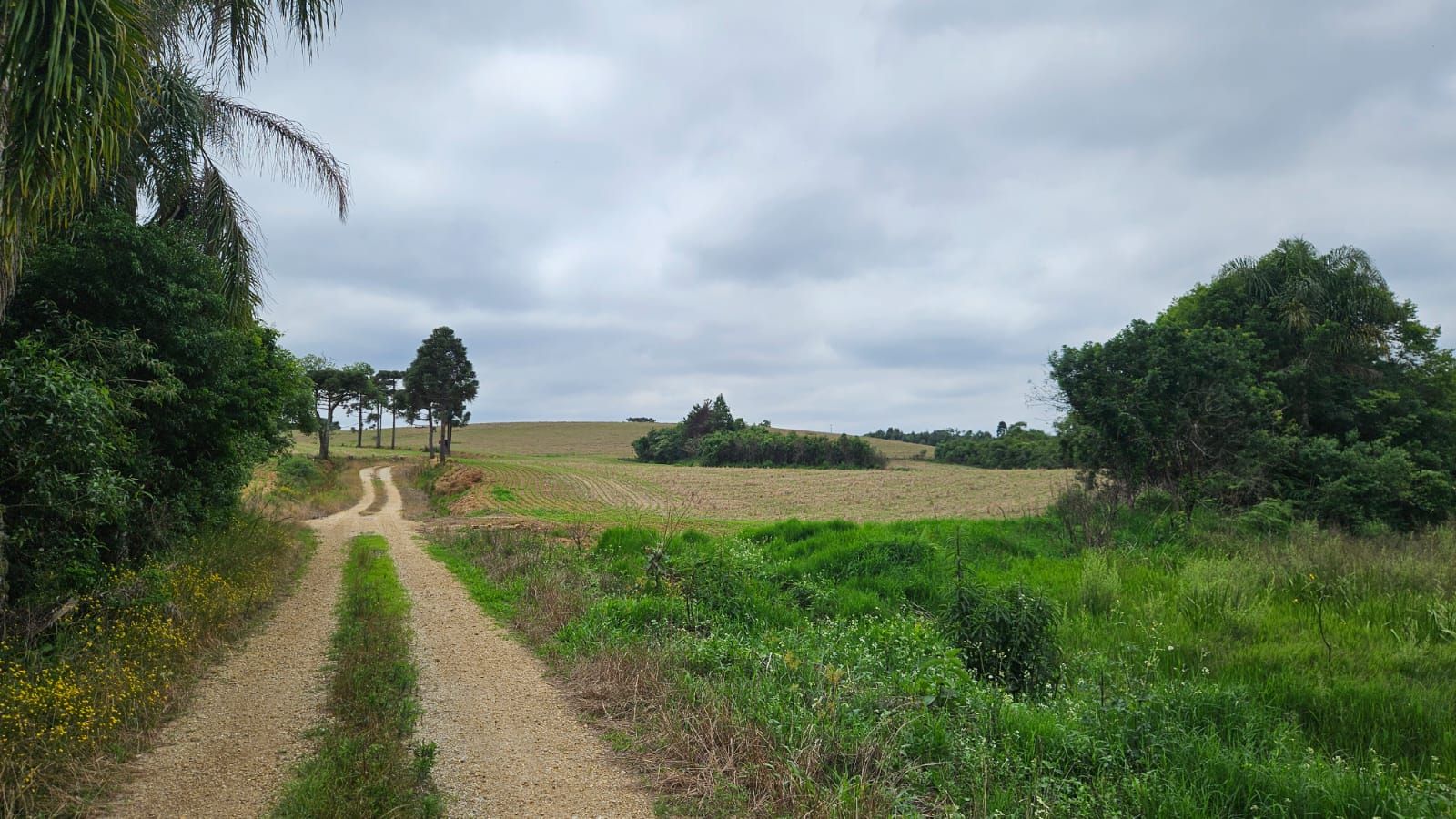 S?tio de 35 alqueires em Contenda-PR com rio, nascentes e ?rea...