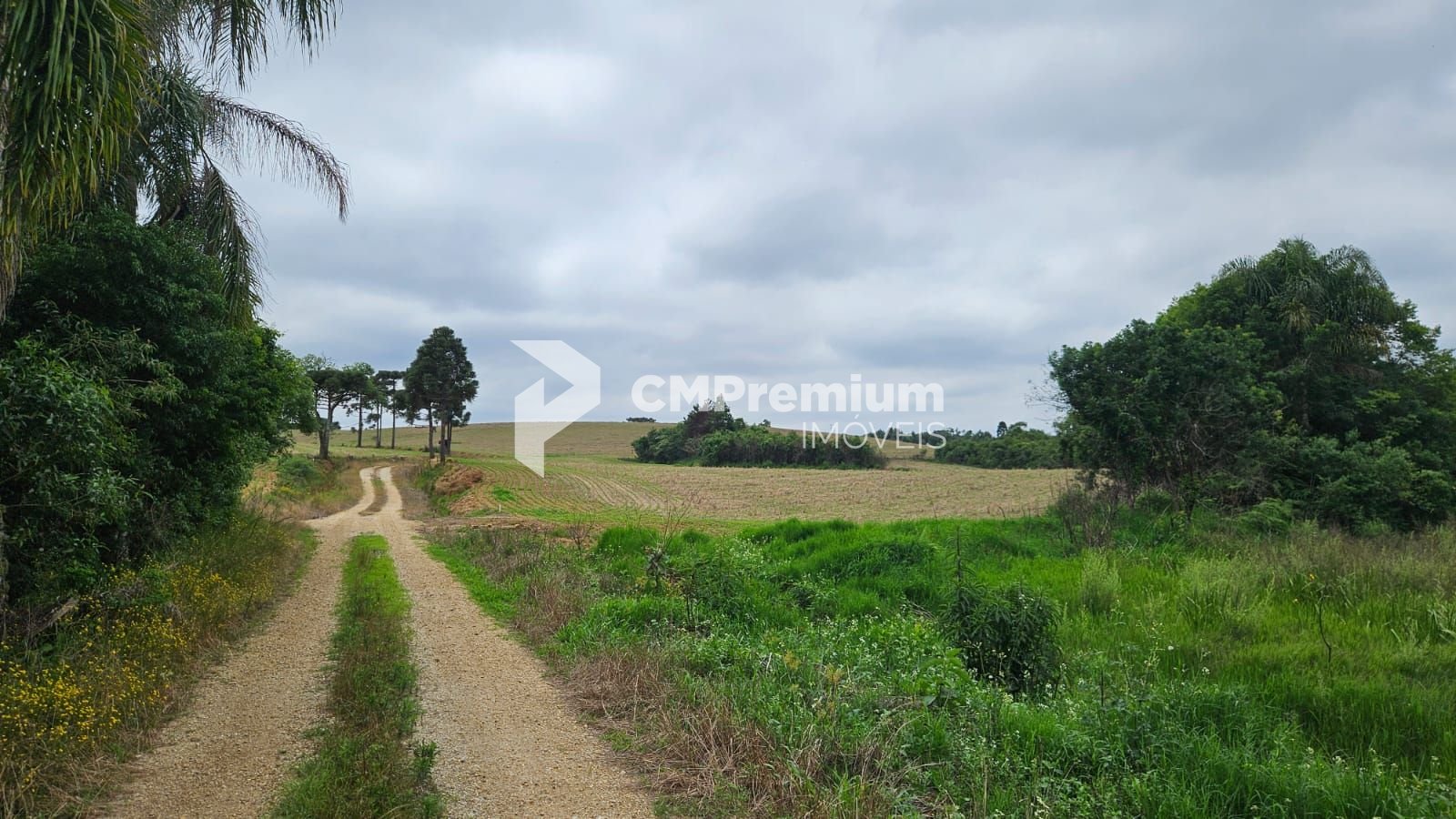 Sítio à venda,847000.00 m , zona rural, CONTENDA - PR