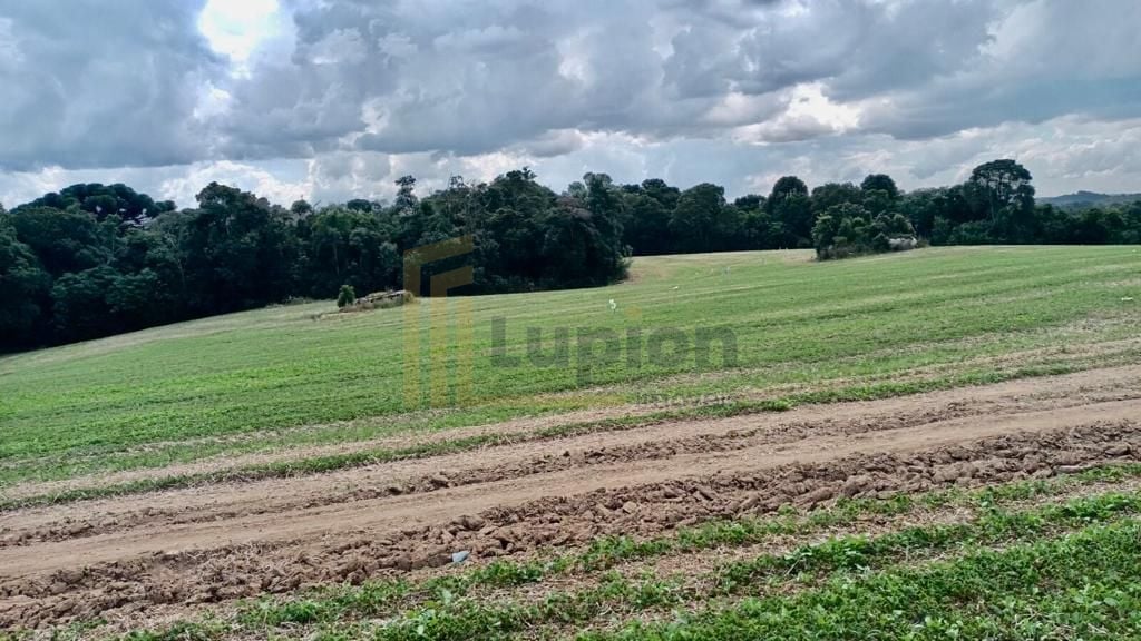 Chácara Lagoa Suja Araucária  Natureza, Tranquilidade e Acesso...