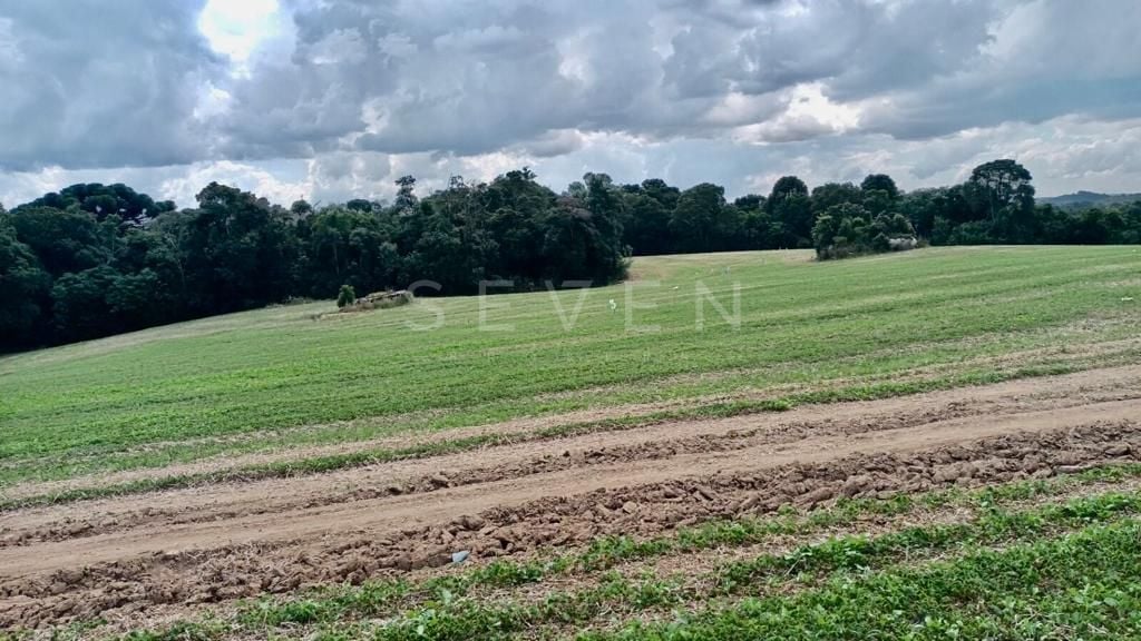 Chácara Lagoa Suja Araucária  Natureza, Tranquilidade e Acesso...