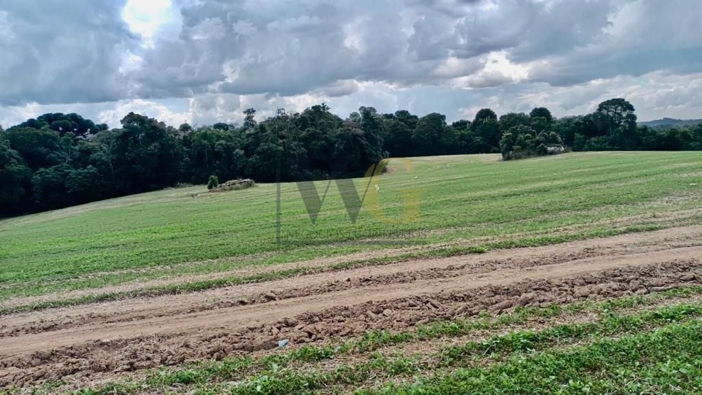 Chácara Lagoa Suja Araucária  Natureza, Tranquilidade e Acesso...