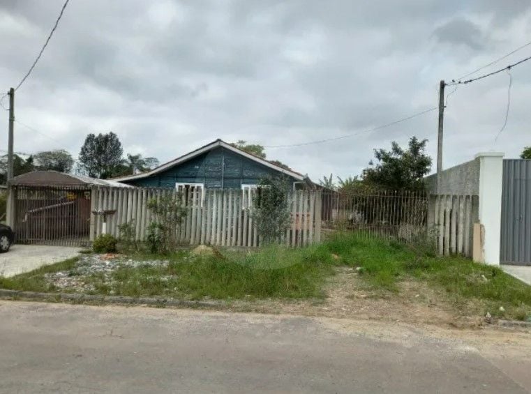 Lote Plano e Murado de 15x50m no Atuba  Pronto para Construir
