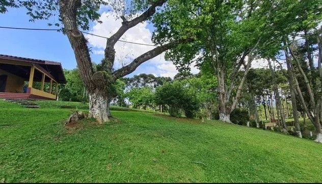 S?tio em Quatro Barras  150.000 m  com casas, pomar, campo e m...