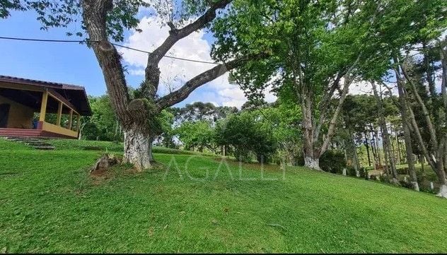 Sítio com 6 dormitórios à venda,144.000,00 m2, palmitalzinho, ...