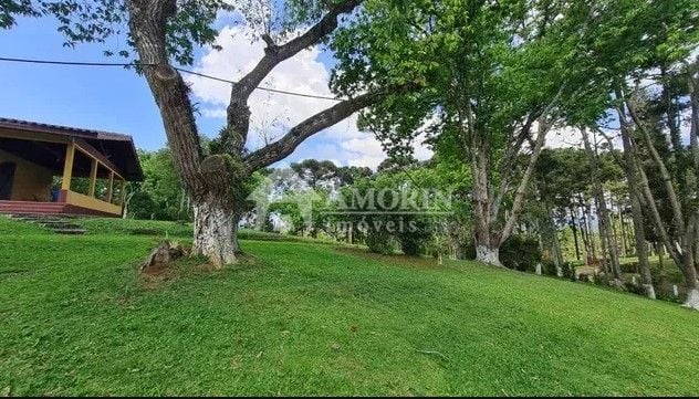 Sítio com 6 dormitórios à venda,144.000,00 m2, palmitalzinho, ...