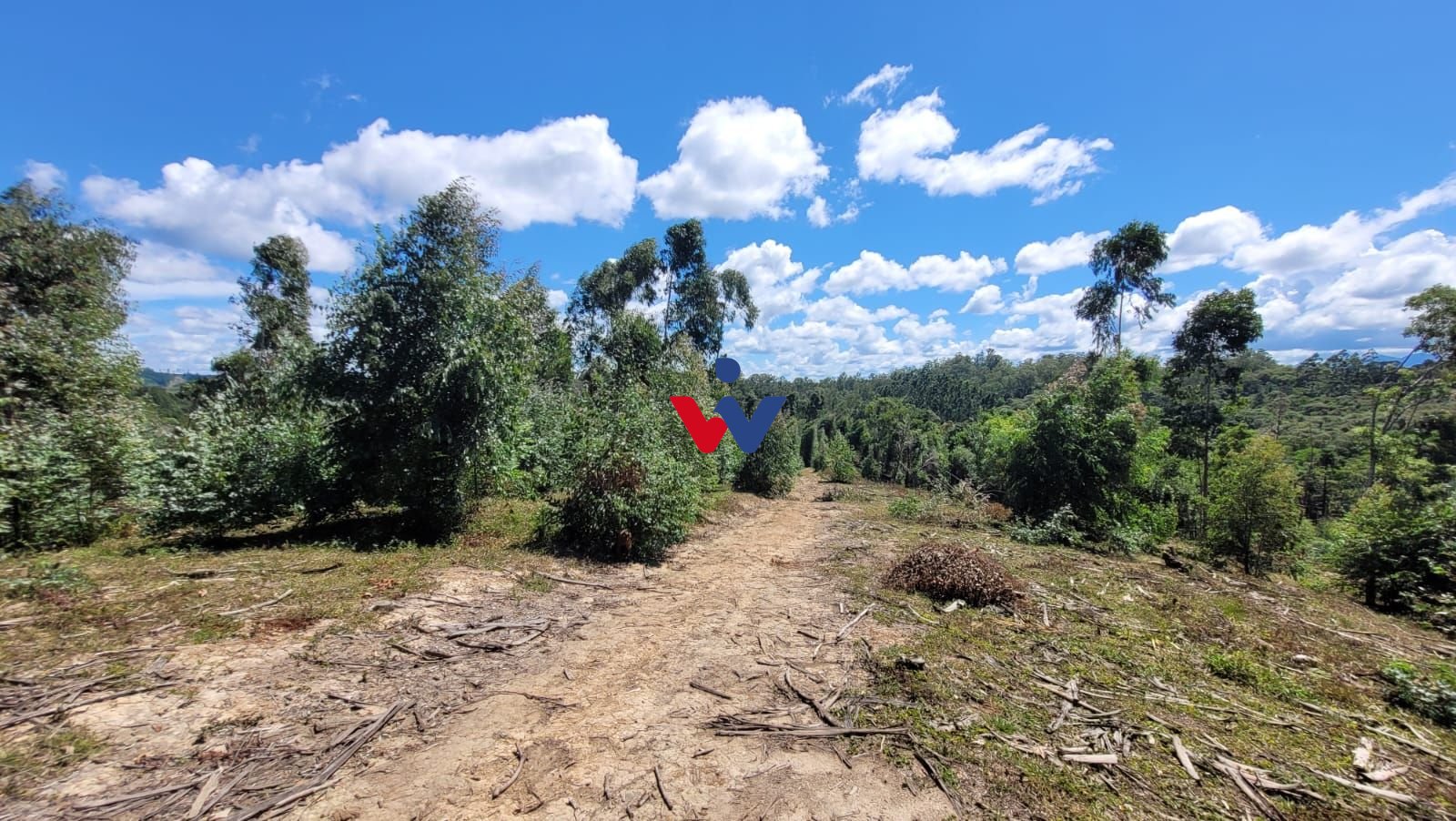 Chácara à venda,63000.00 m , imbuial, CAMPINA GRANDE DO SUL - PR