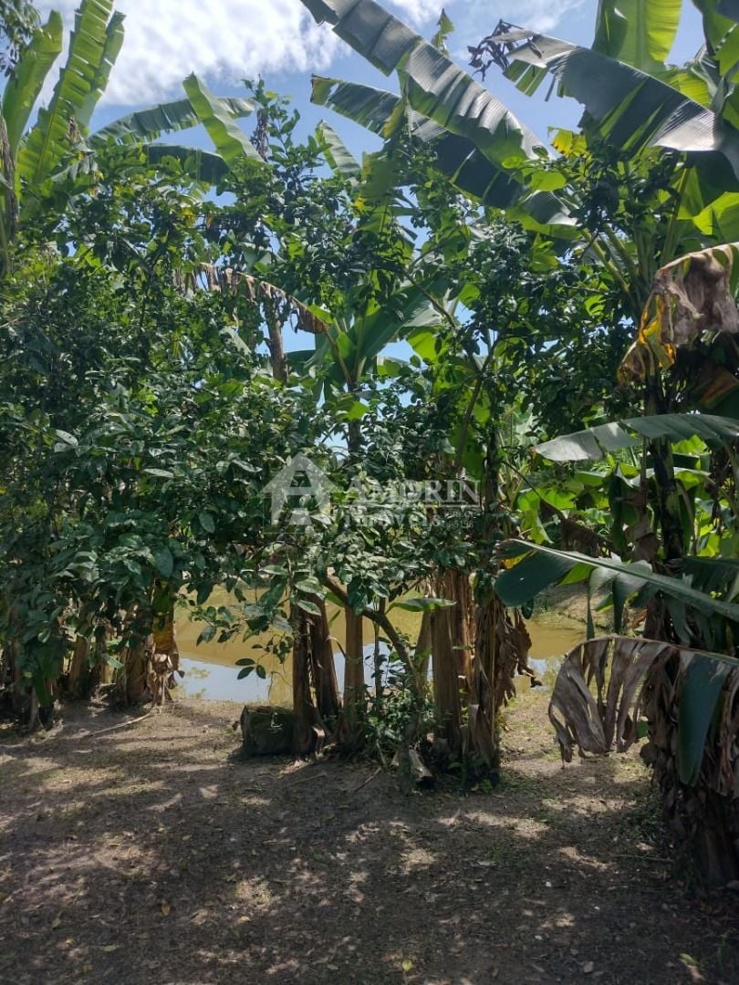 Chácara com 2 dormitórios à venda, 1820 m  por R  225.000,00 -...