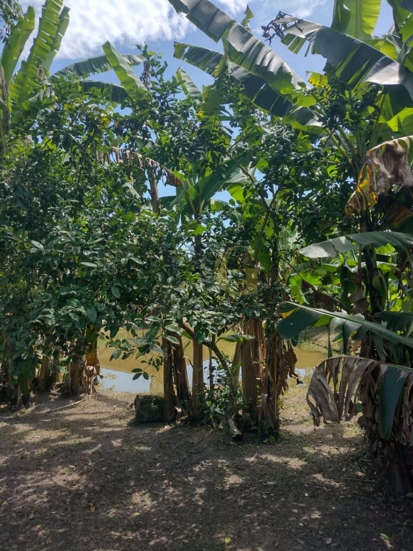 Chácara com 2 dormitórios à venda, 1820 m  por R  225.000,00 -...
